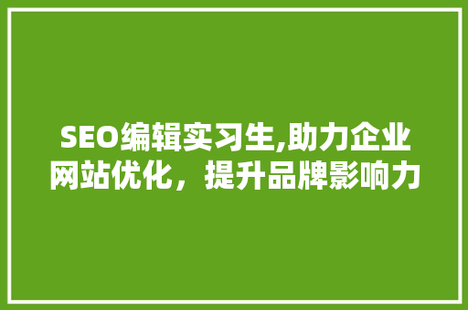 SEO编辑实习生,助力企业网站优化，提升品牌影响力