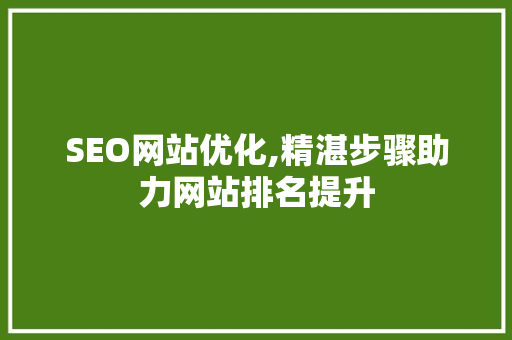 SEO网站优化,精湛步骤助力网站排名提升