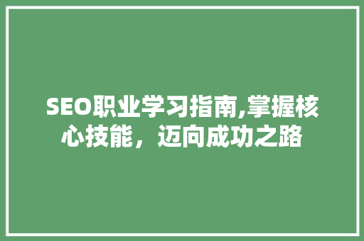 SEO职业学习指南,掌握核心技能,迈向成功之路 百度SEO SEO职业学习指南,掌握核心技能,迈向成功之路 百度SEO