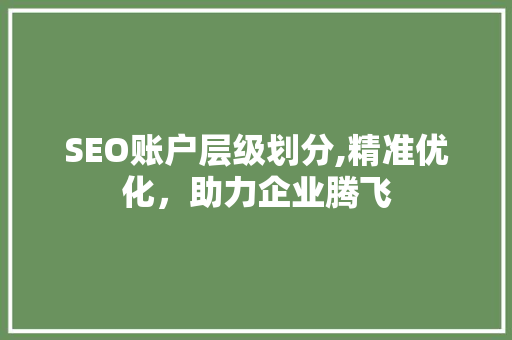 SEO账户层级划分,精准优化，助力企业腾飞 SEO关键词