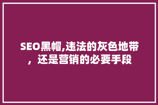 SEO黑帽,违法的灰色地带，还是营销的必要手段 百度SEO