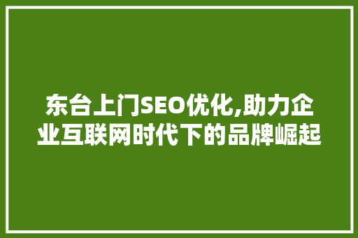 东台上门SEO优化,助力企业互联网时代下的品牌崛起 网站建设公司