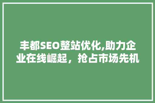 丰都SEO整站优化,助力企业在线崛起，抢占市场先机