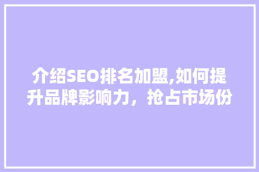 介绍SEO排名加盟,如何提升品牌影响力，抢占市场份额