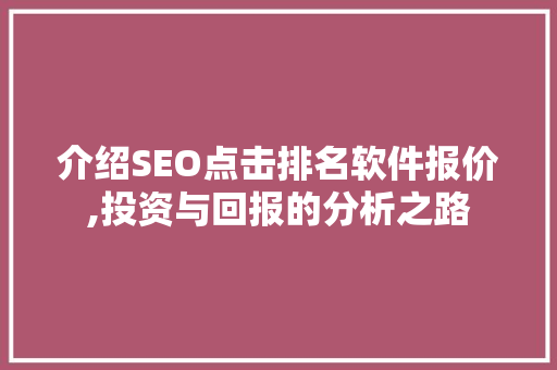 介绍SEO点击排名软件报价,投资与回报的分析之路
