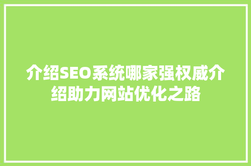 介绍SEO系统哪家强权威介绍助力网站优化之路 网站建设公司