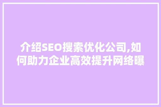 介绍SEO搜索优化公司,如何助力企业高效提升网络曝光度 网站建设公司