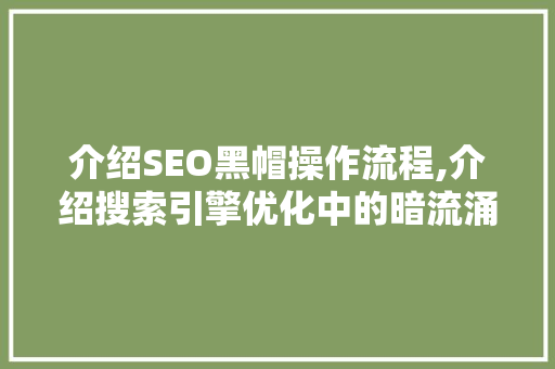 介绍SEO黑帽操作流程,介绍搜索引擎优化中的暗流涌动