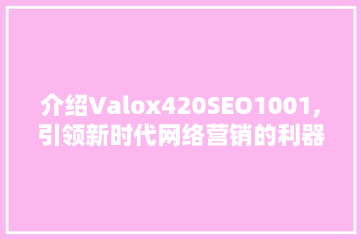 介绍Valox420SEO1001,引领新时代网络营销的利器 必应SEO