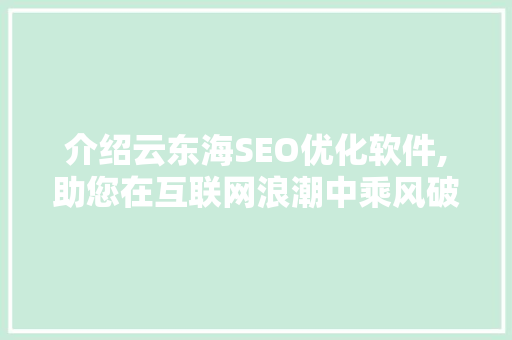 介绍云东海SEO优化软件,助您在互联网浪潮中乘风破浪 网站建设公司