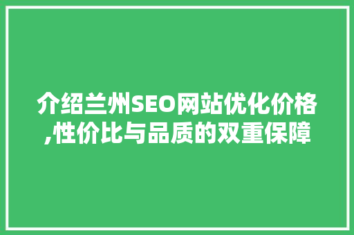 介绍兰州SEO网站优化价格,性价比与品质的双重保障 网站建设公司