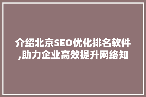 介绍北京SEO优化排名软件,助力企业高效提升网络知名度