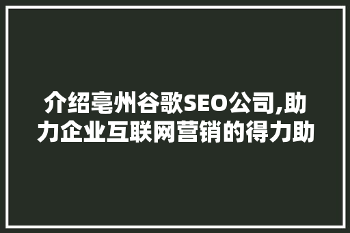 介绍亳州谷歌SEO公司,助力企业互联网营销的得力助手
