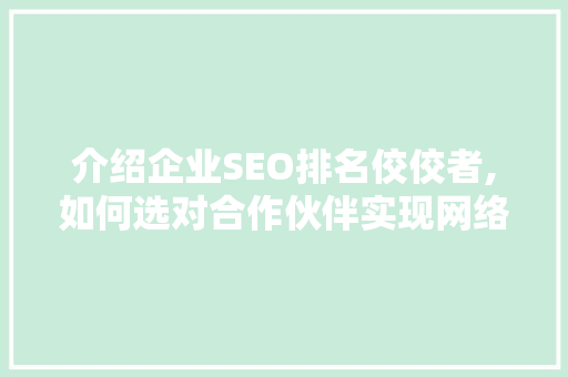 介绍企业SEO排名佼佼者,如何选对合作伙伴实现网络营销突破