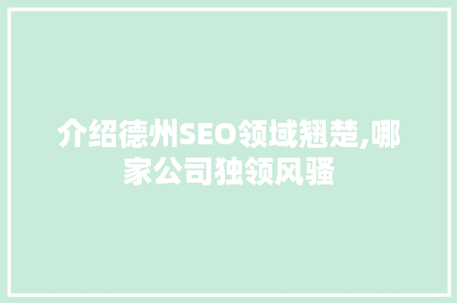 介绍德州SEO领域翘楚,哪家公司独领风骚 搜狗SEO
