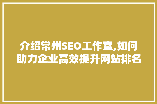介绍常州SEO工作室,如何助力企业高效提升网站排名 搜狗SEO