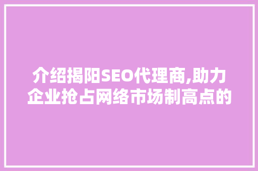介绍揭阳SEO代理商,助力企业抢占网络市场制高点的秘密武器