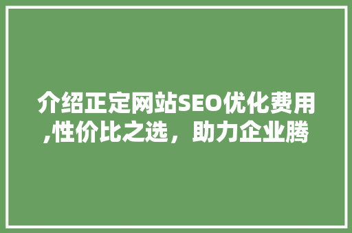 介绍正定网站SEO优化费用,性价比之选，助力企业腾飞 神马SEO