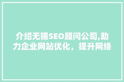 介绍无锡SEO顾问公司,助力企业网站优化，提升网络竞争力 网站建设公司