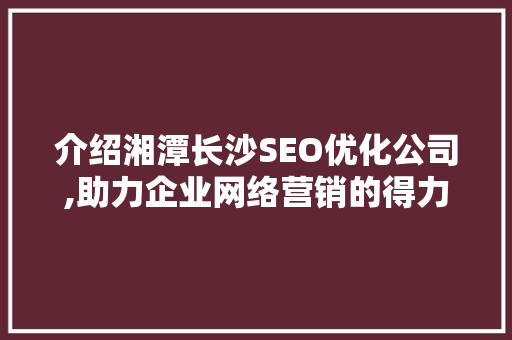 介绍湘潭长沙SEO优化公司,助力企业网络营销的得力助手