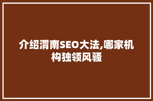介绍渭南SEO大法,哪家机构独领风骚 SEO关键词
