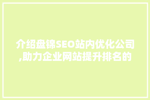 介绍盘锦SEO站内优化公司,助力企业网站提升排名的方法之路
