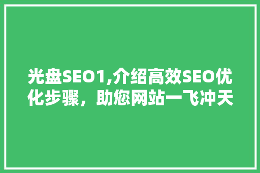 光盘SEO1,介绍高效SEO优化步骤，助您网站一飞冲天！