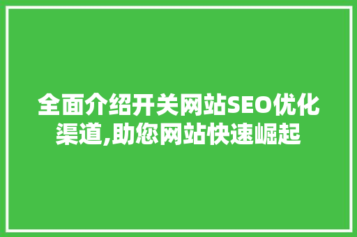 全面介绍开关网站SEO优化渠道,助您网站快速崛起 神马SEO
