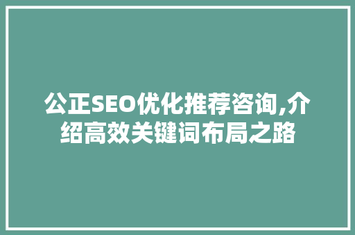 公正SEO优化推荐咨询,介绍高效关键词布局之路