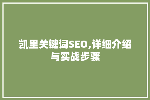 凯里关键词SEO,详细介绍与实战步骤 SEO关键词