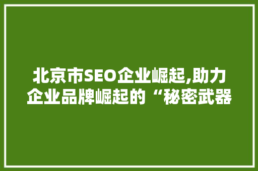 北京市SEO企业崛起,助力企业品牌崛起的“秘密武器” 神马SEO