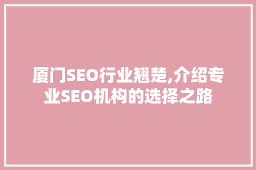 厦门SEO行业翘楚,介绍专业SEO机构的选择之路