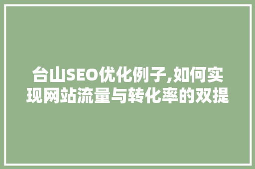 台山SEO优化例子,如何实现网站流量与转化率的双提升