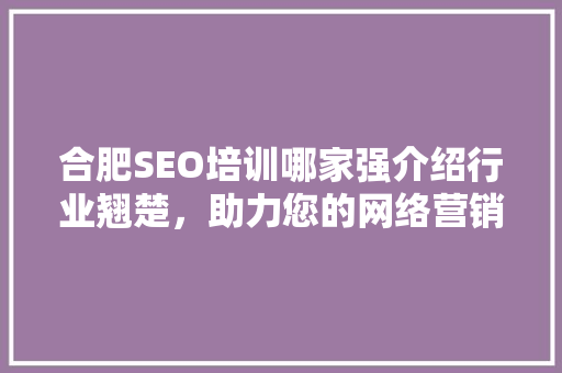 合肥SEO培训哪家强介绍行业翘楚，助力您的网络营销之路