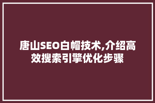唐山SEO白帽技术,介绍高效搜索引擎优化步骤