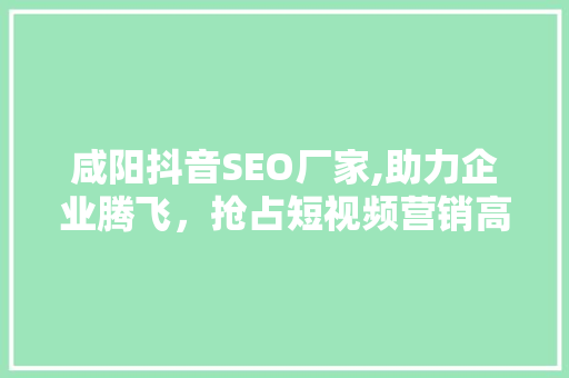 咸阳抖音SEO厂家,助力企业腾飞，抢占短视频营销高地