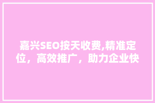 嘉兴SEO按天收费,精准定位，高效推广，助力企业快速发展