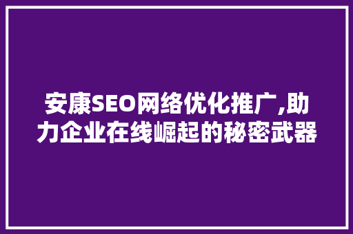 安康SEO网络优化推广,助力企业在线崛起的秘密武器