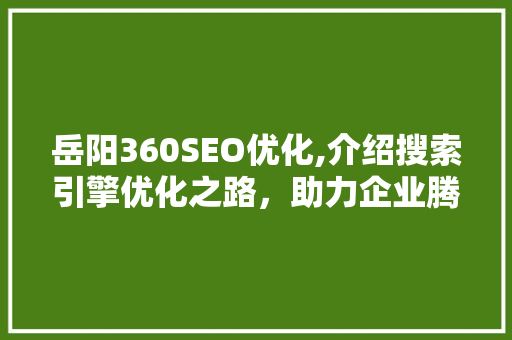 岳阳360SEO优化,介绍搜索引擎优化之路，助力企业腾飞