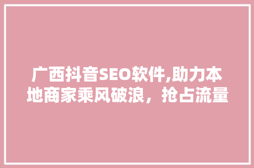 广西抖音SEO软件,助力本地商家乘风破浪，抢占流量红利