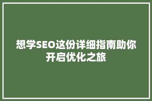 想学SEO这份详细指南助你开启优化之旅