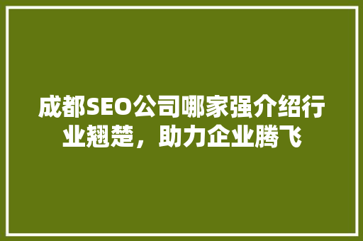成都SEO公司哪家强介绍行业翘楚，助力企业腾飞 神马SEO