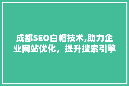 成都SEO白帽技术,助力企业网站优化，提升搜索引擎排名 SEO关键词