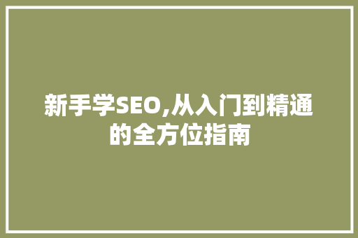 新手学SEO,从入门到精通的全方位指南 网站建设公司