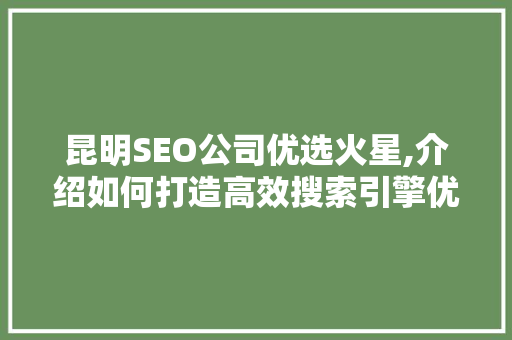 昆明SEO公司优选火星,介绍如何打造高效搜索引擎优化步骤
