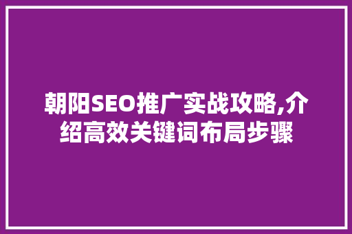 朝阳SEO推广实战攻略,介绍高效关键词布局步骤