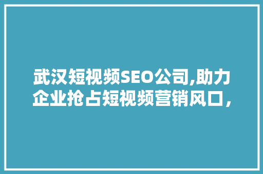 武汉短视频SEO公司,助力企业抢占短视频营销风口，实现品牌新突破