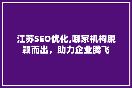 江苏SEO优化,哪家机构脱颖而出，助力企业腾飞 神马SEO