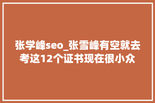 张学峰seo_张雪峰有空就去考这12个证书现在很小众未来很吃喷鼻香