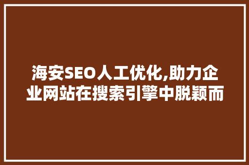 海安SEO人工优化,助力企业网站在搜索引擎中脱颖而出